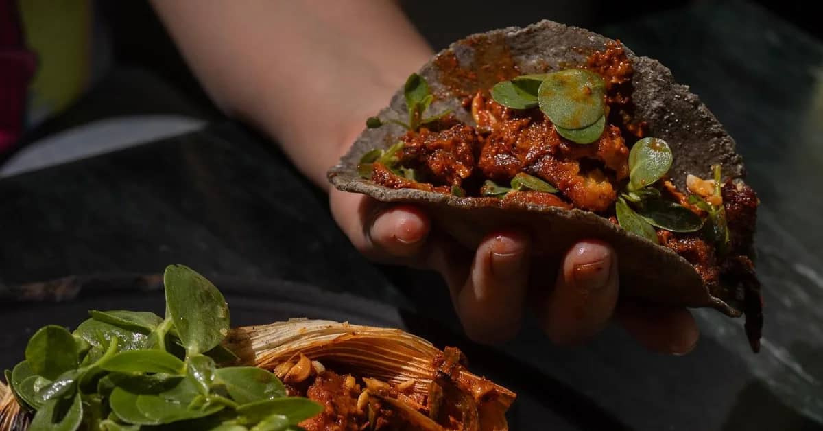 A person's hand holds a sandwich wrapped in brown paper, filled with reddish-brown meat and topped with green microgreens. A fresh herb garnish sits nearby on a dark surface.