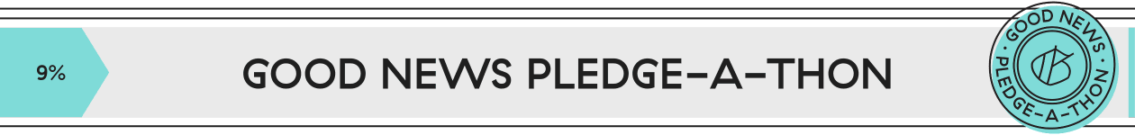 9% progress Pledge-a-Thon