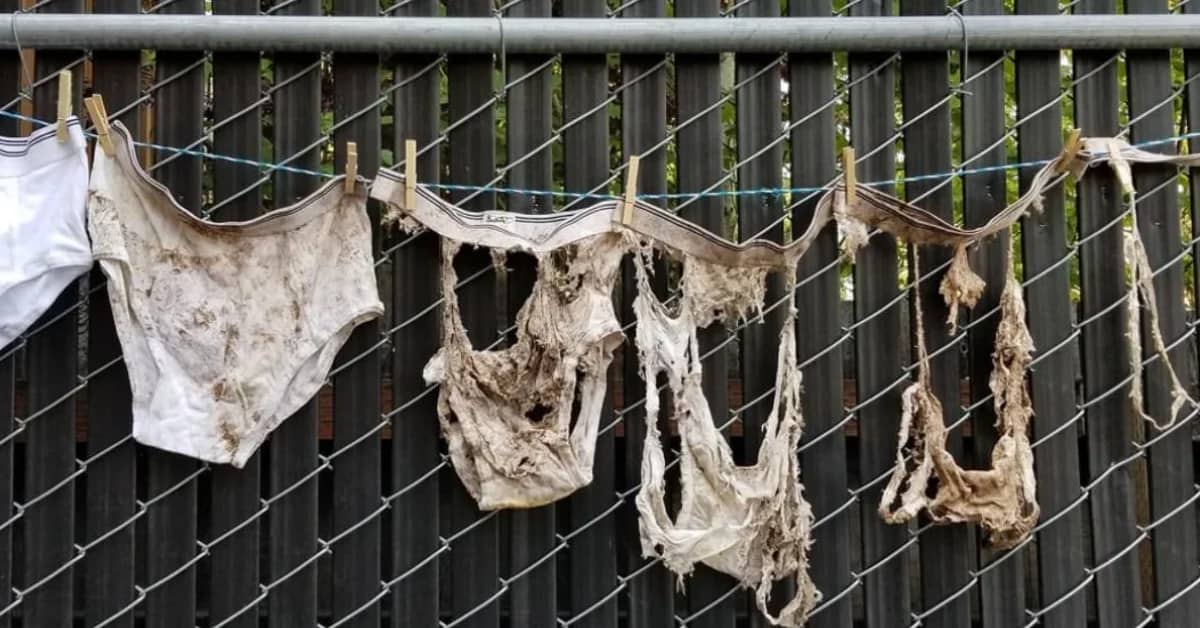 Tattered and stained undergarments hang from a clothesline strung across a metal fence in various states of deterioration.