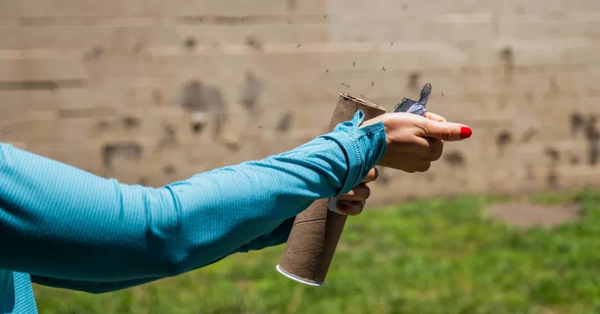 A person in a teal shirt opening a cardboard tube, mosquitoes are flying out of it