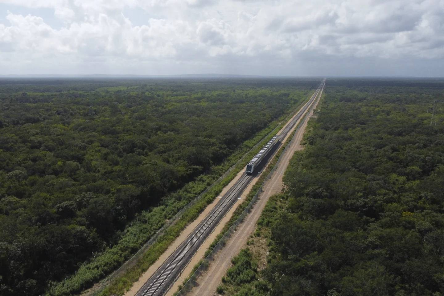 A train between two densely forested areas