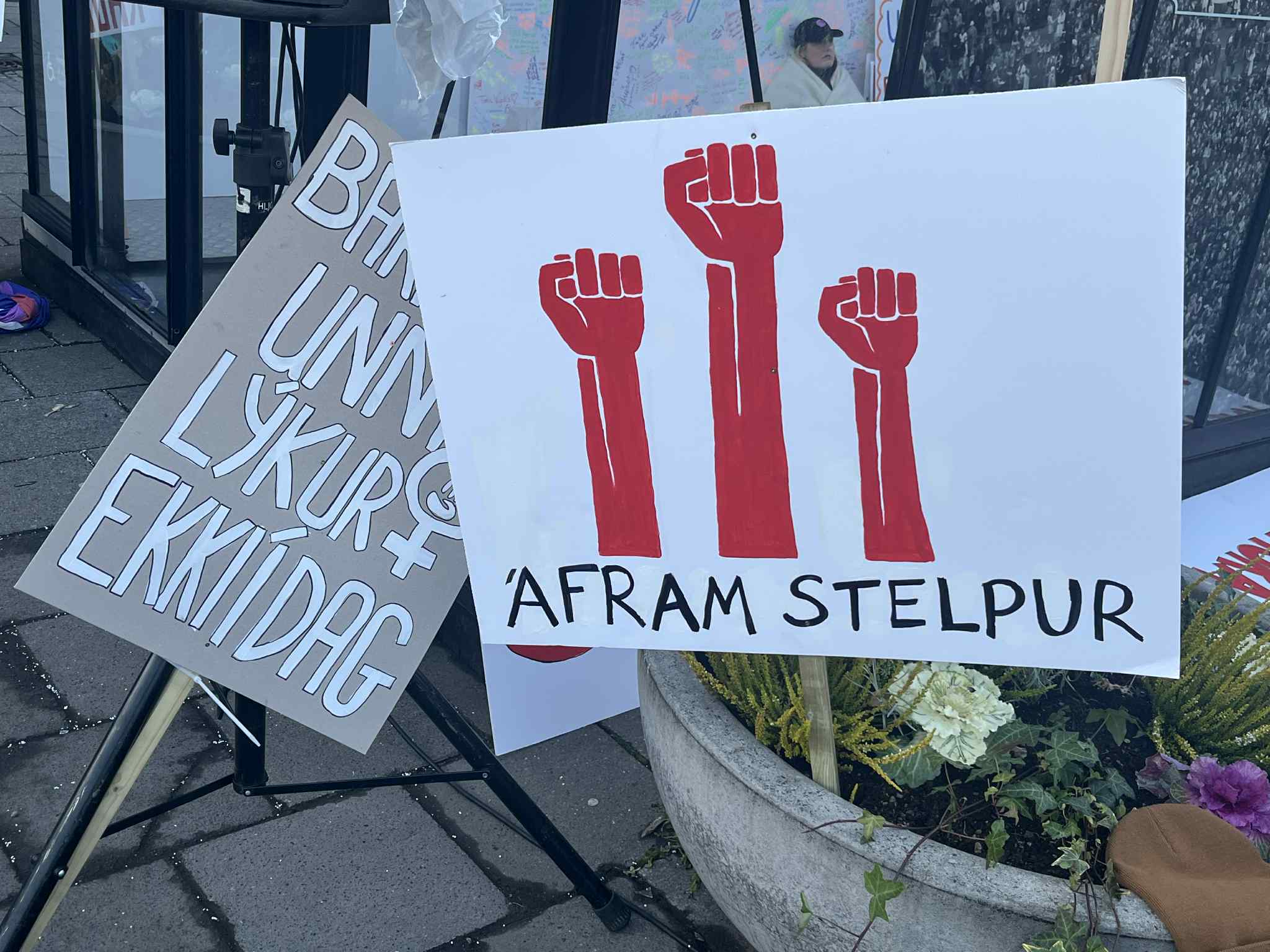 Two protest signs displayed on a street. The left sign reads "BUY UNION PRODUCTS ENDORSE" in outlined letters. The right sign shows three red fists above text reading "AFRAM STELPUR." Flowers in a planter are visible at bottom right.