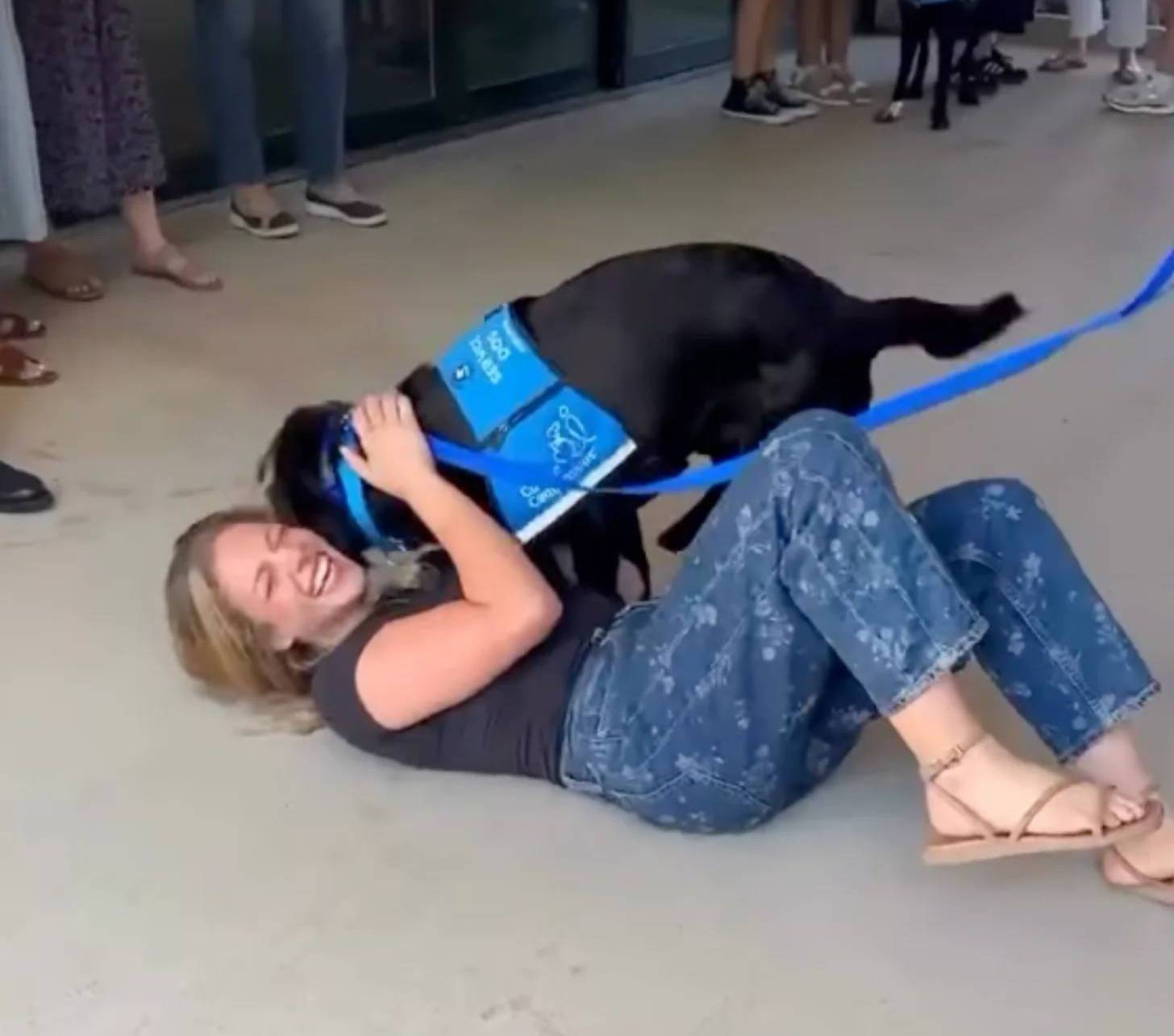 A woman lying on the ground embraces a black dog wearing a blue service vest while smiling at the camera, surrounded by onlookers in an indoor space.