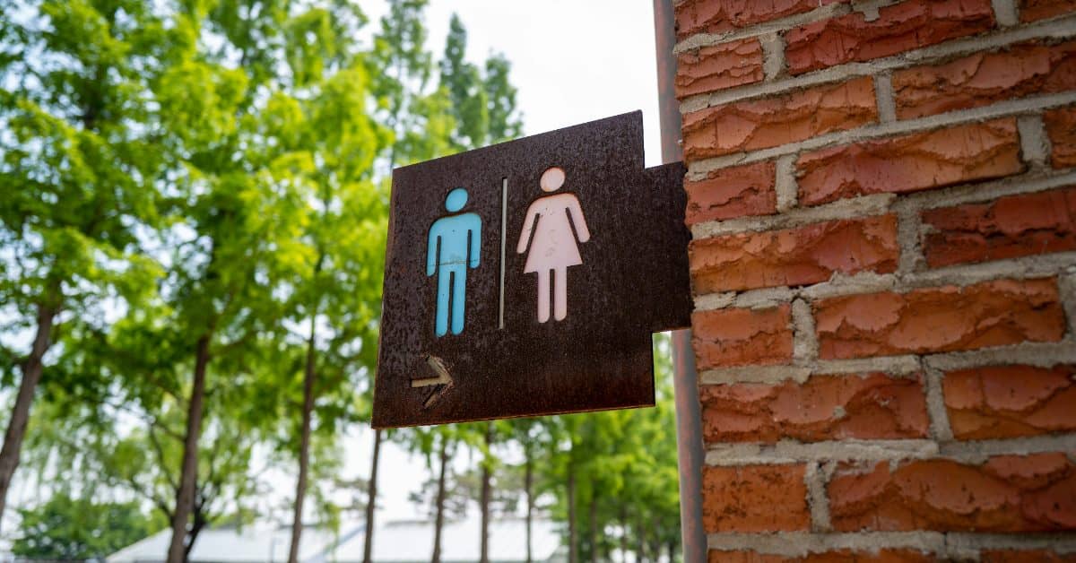 Bathroom sign with a blue male figure and pink female figure