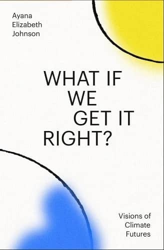 What If We Get It Right? book cover image