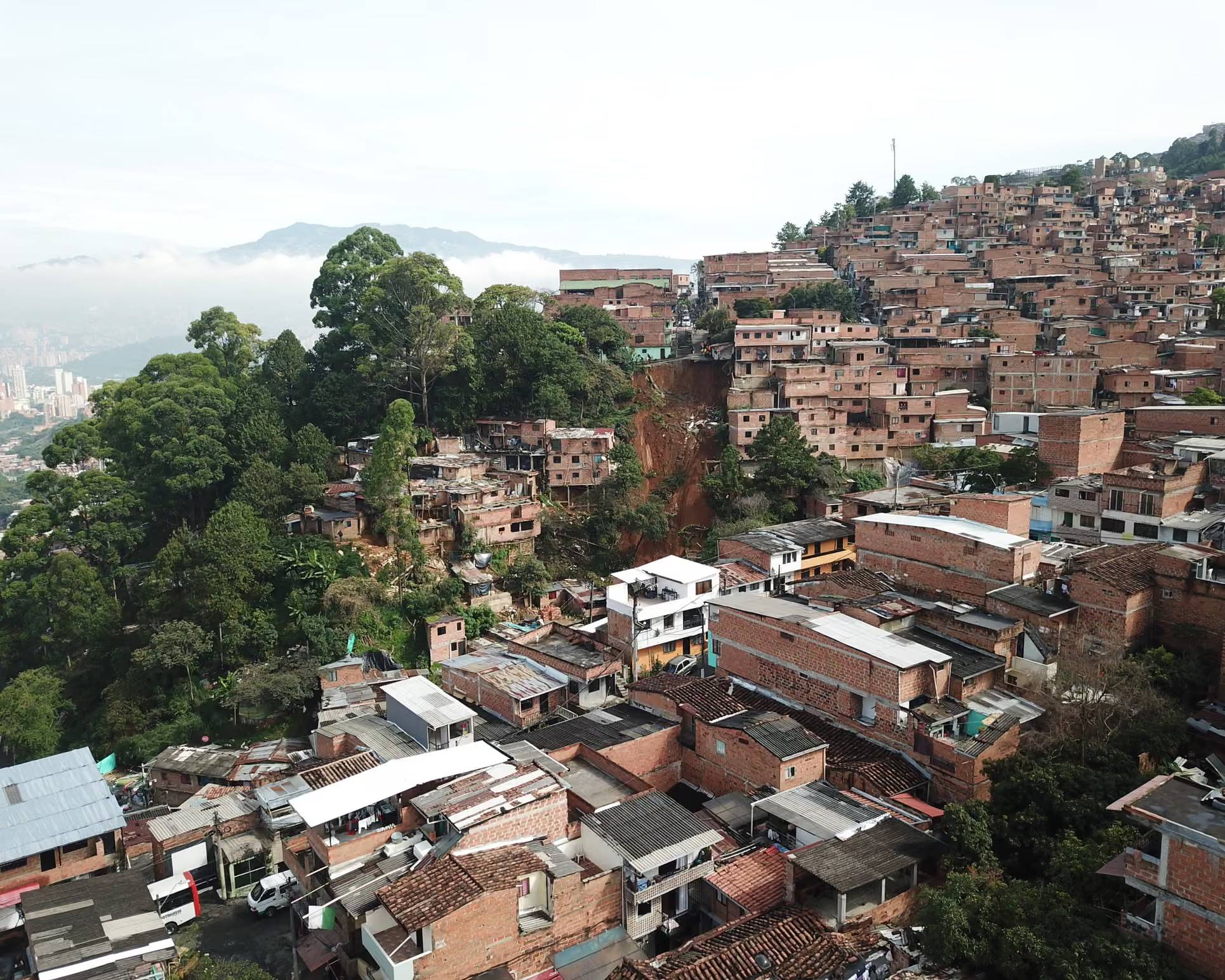 Brick and metal-roof homes built into a tree-lined hillside