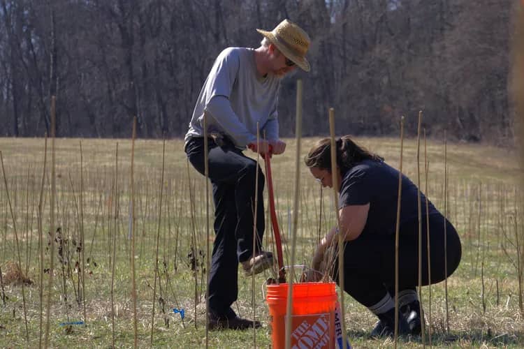 Two people with an orange Home Depot bucket planting tree saplings