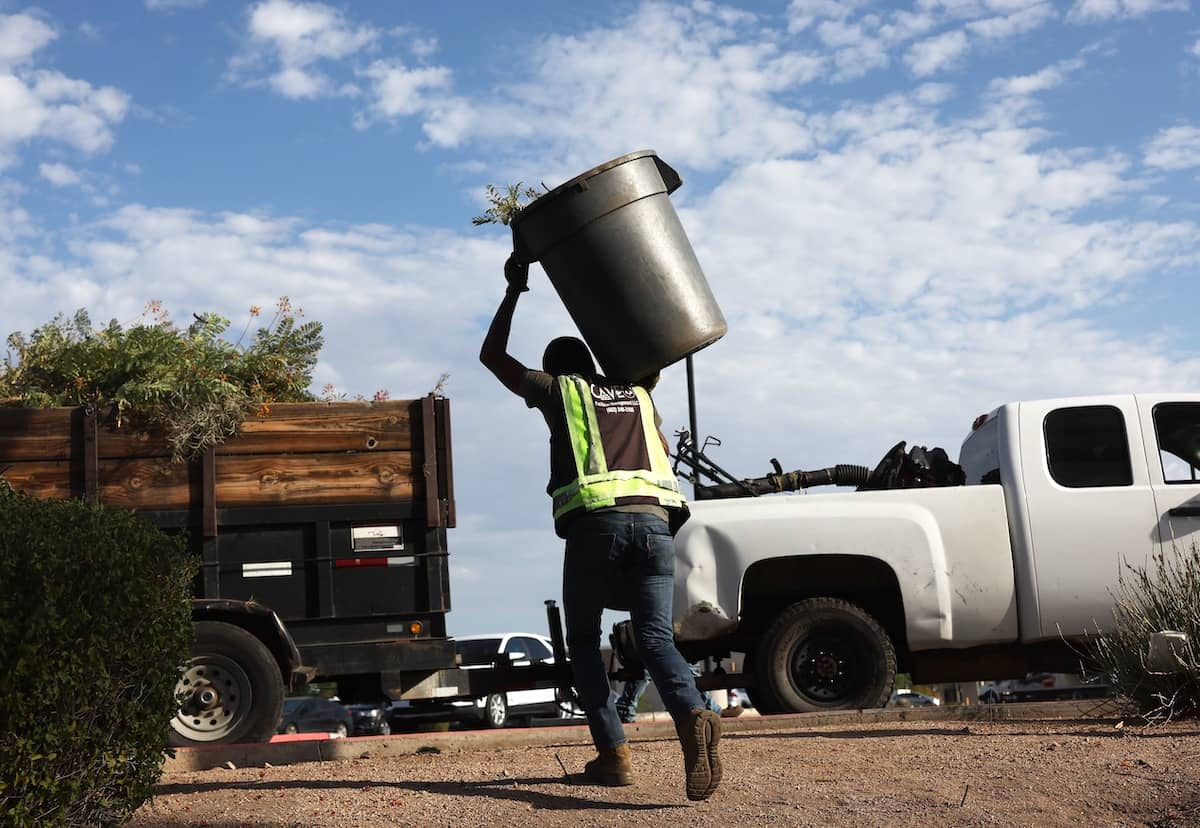 A person in a work vest and jeans carrying a large garbage bin filled with lawn clippings on their shoulder