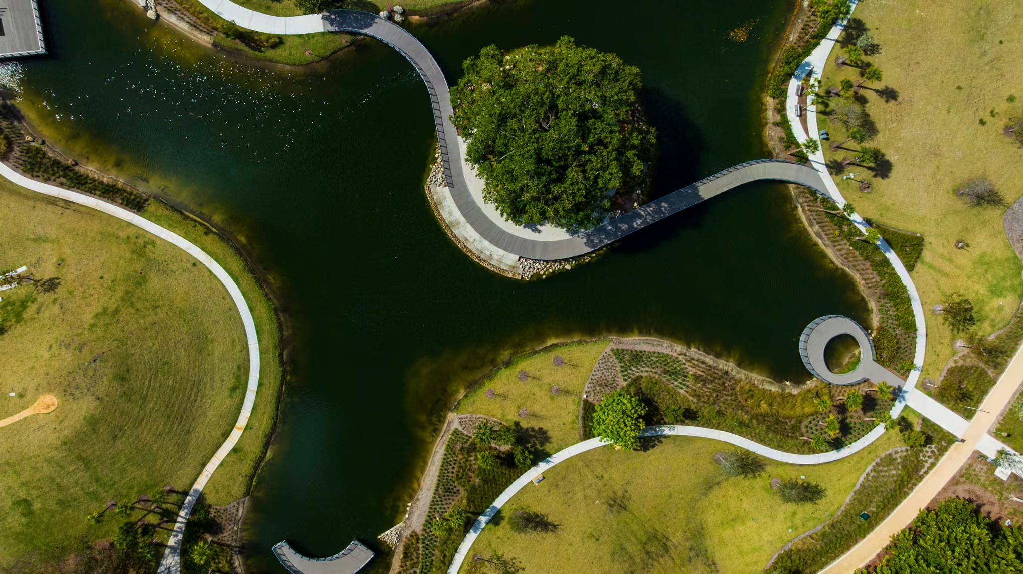 Birds-eye view of a body of water with a tree in the middle, walking paths winding throughout, and green grass around it