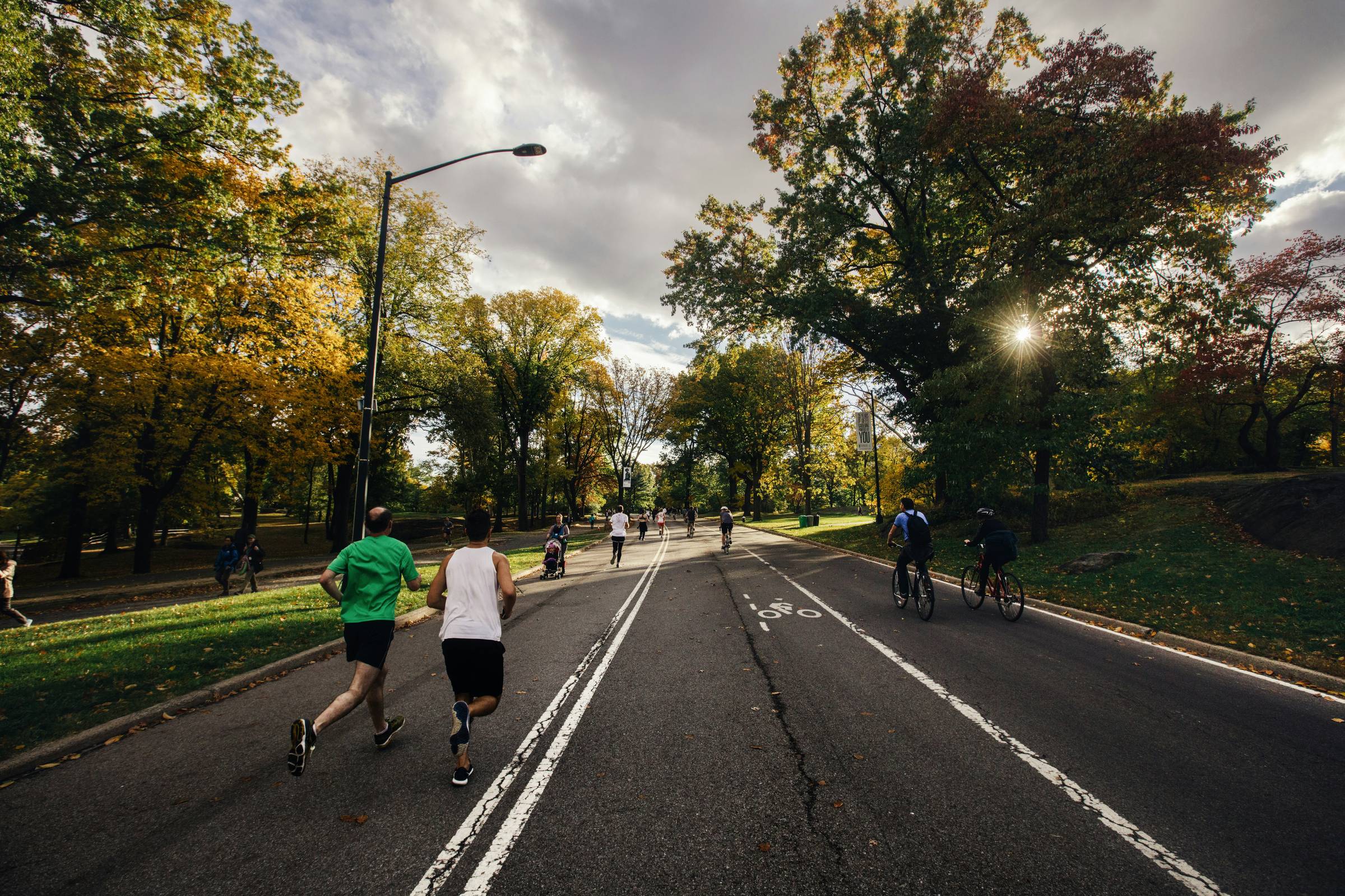 Wide photo of people running, walking, and riding bicycles on a paved road with trees lining the sides