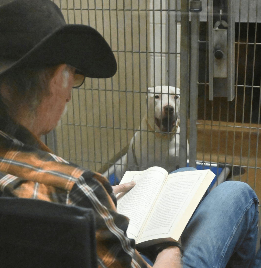 An old man with a black cowboy hat reads to a white pitbull in a shelter environment
