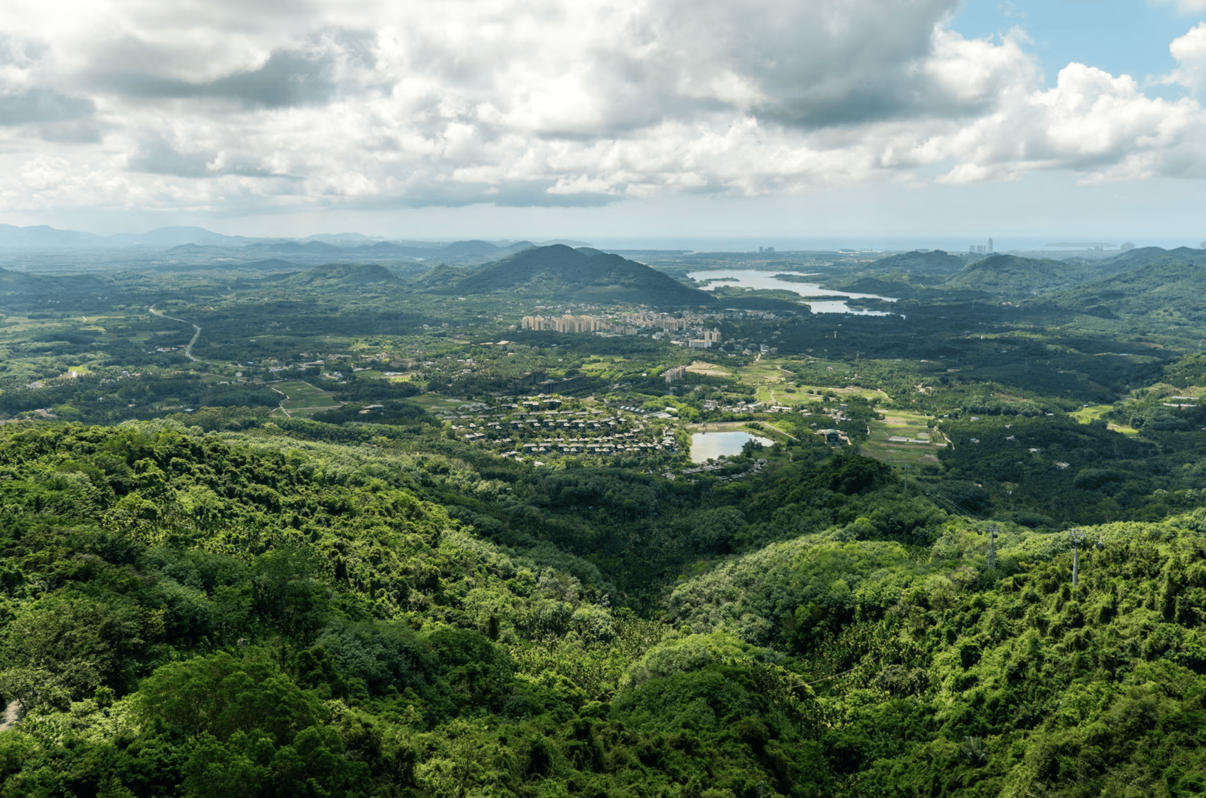 Scenic photo of lush green landscape