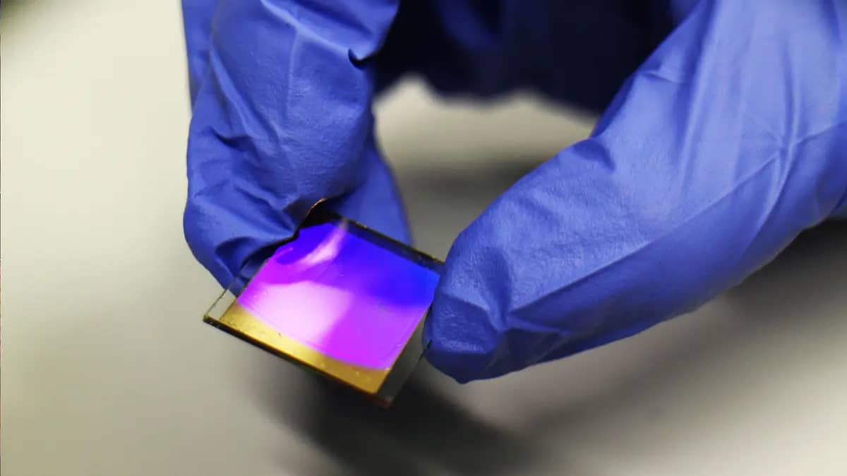 Stock image of a hand holding a biosensor