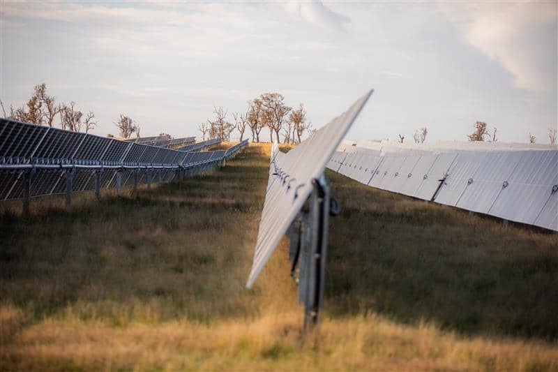 Rows of solar panels in a field