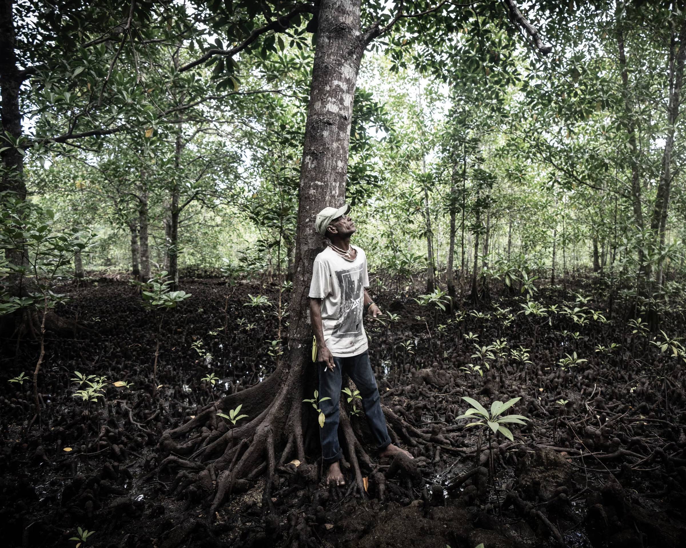 A man in jeans and a white graphic tee looking up at a mangrove canopy