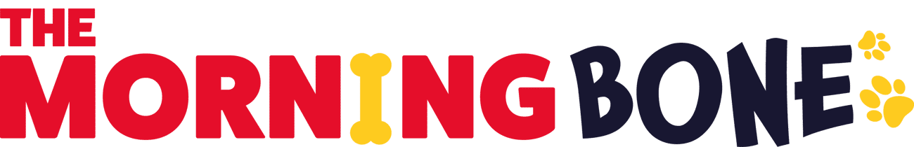 The Morning Bone