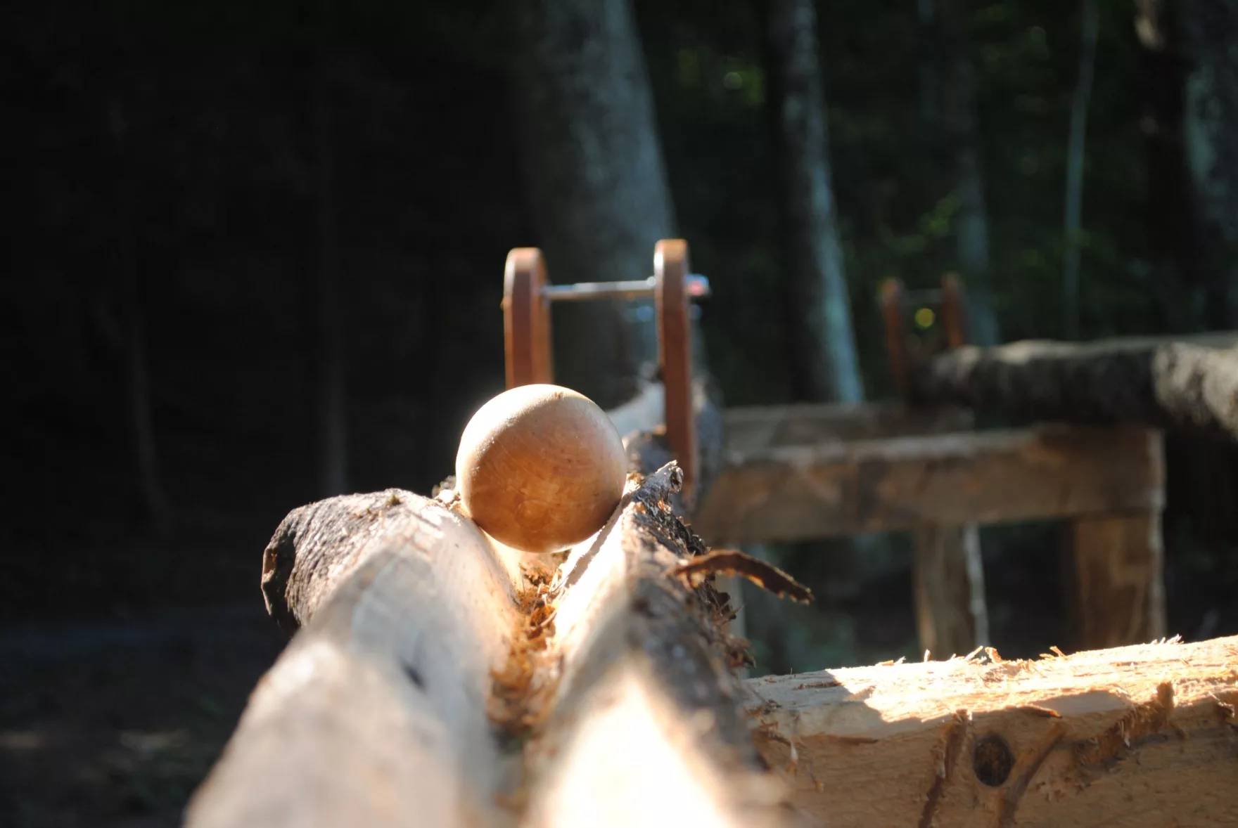 A wooden ball on a track made out of a log