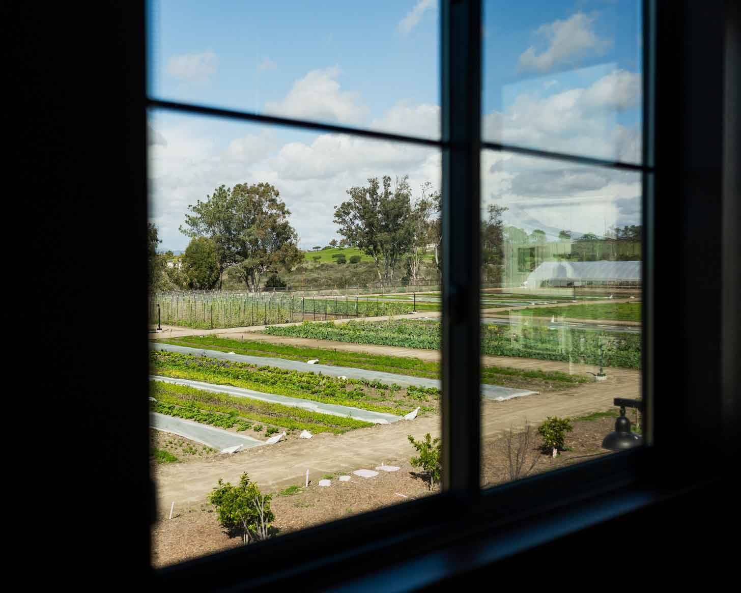 Large garden bed area seen from through a window