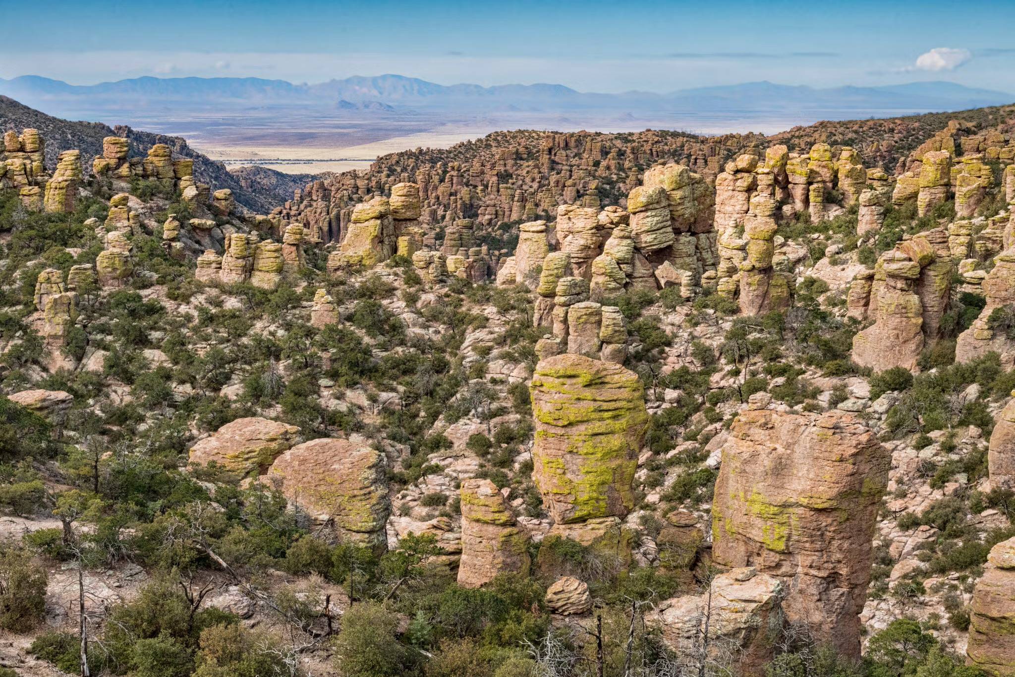 Hundreds of tall rock columns and formations rise from a forested landscape, with distant mountains and a flat valley visible in the background under a blue sky.