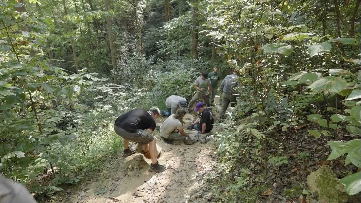 Seven people adding rocks and gravel to the slope of a trail surrounded by green foliage