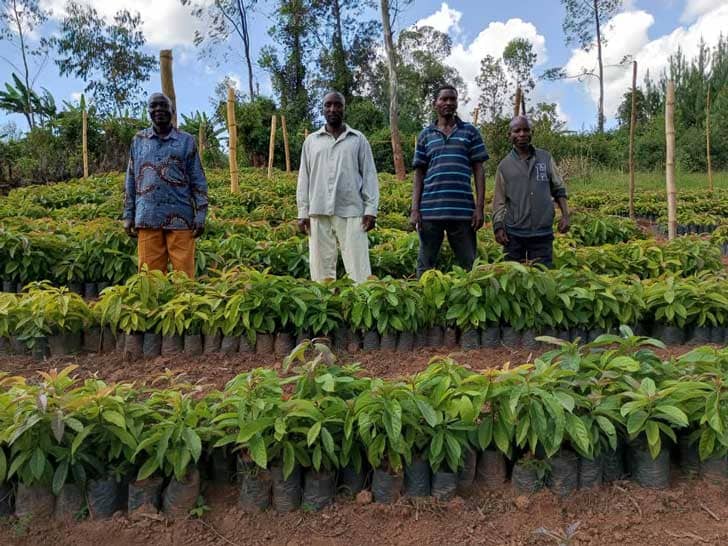 Four people standing by rows of tree seedlings in pots