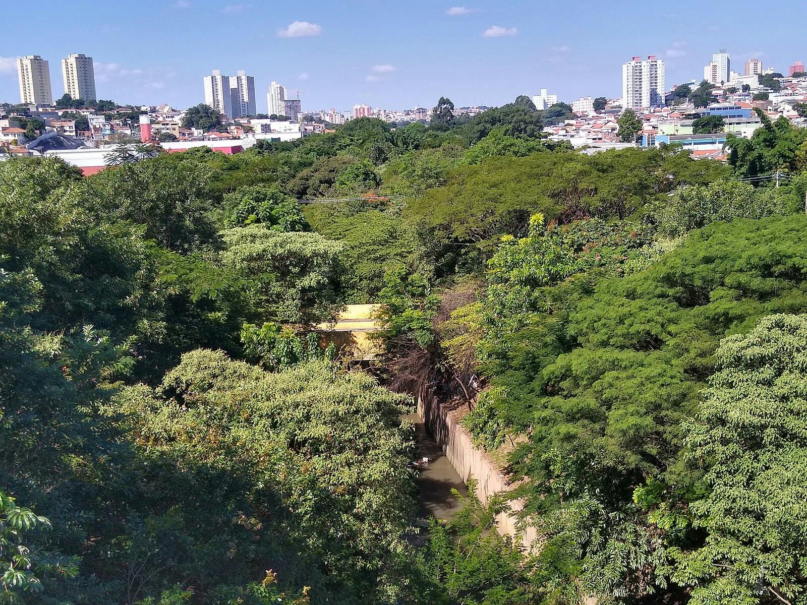 A lush green, tree-filled park with city buildings visible in the distance