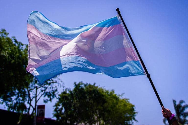 A hand holding up a Trans Pride Flag with blue sky and trees in the background