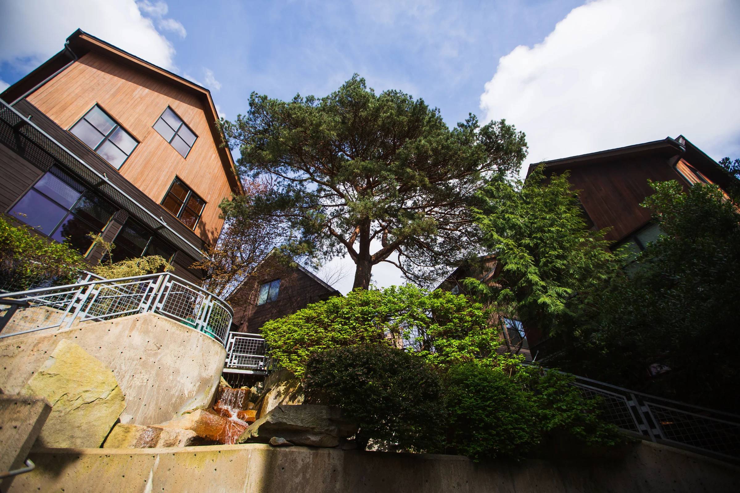 units of housing surrounded by lush green trees