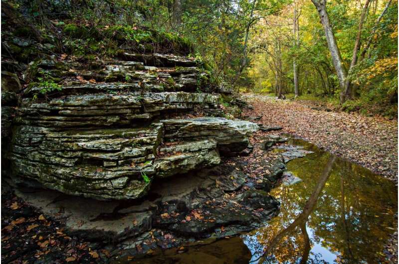 A rock formation next to shallow water and a wooded area at the bank of the water