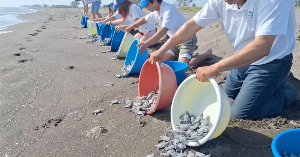 A group of people in white shirts kneel on a beach in a line, each holding a colored bucket with small gray stones pouring out onto the sand.