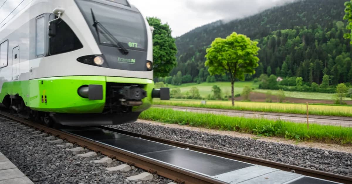 A white and green passenger train on railroad tracks with forested mountains, green fields, and a bright green tree visible in the background.
