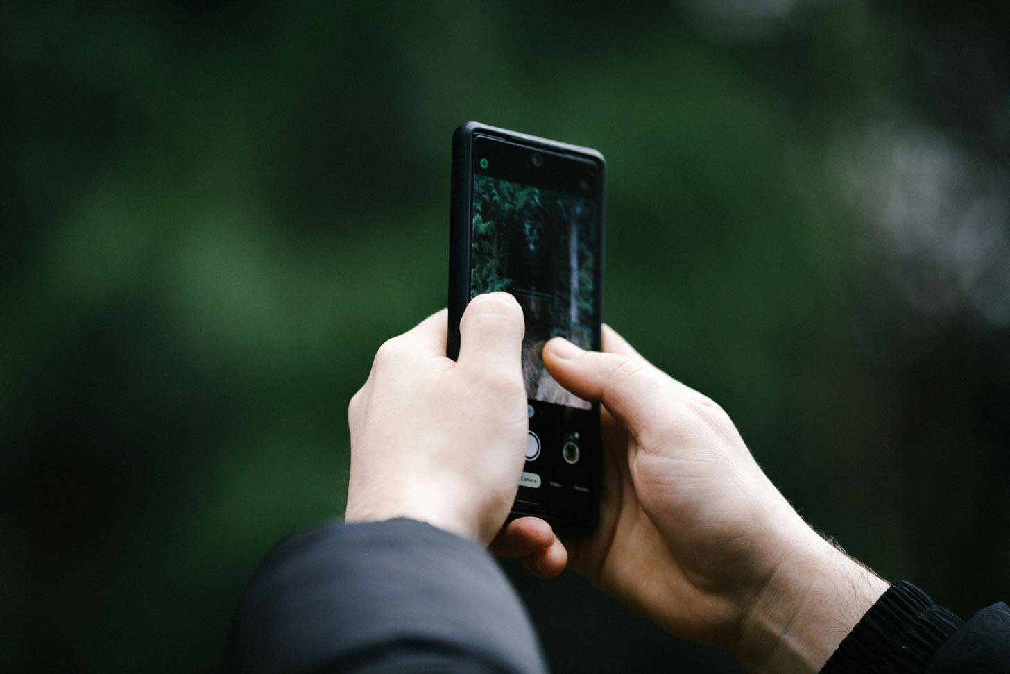 Hands holding a phone taking a picture of nature