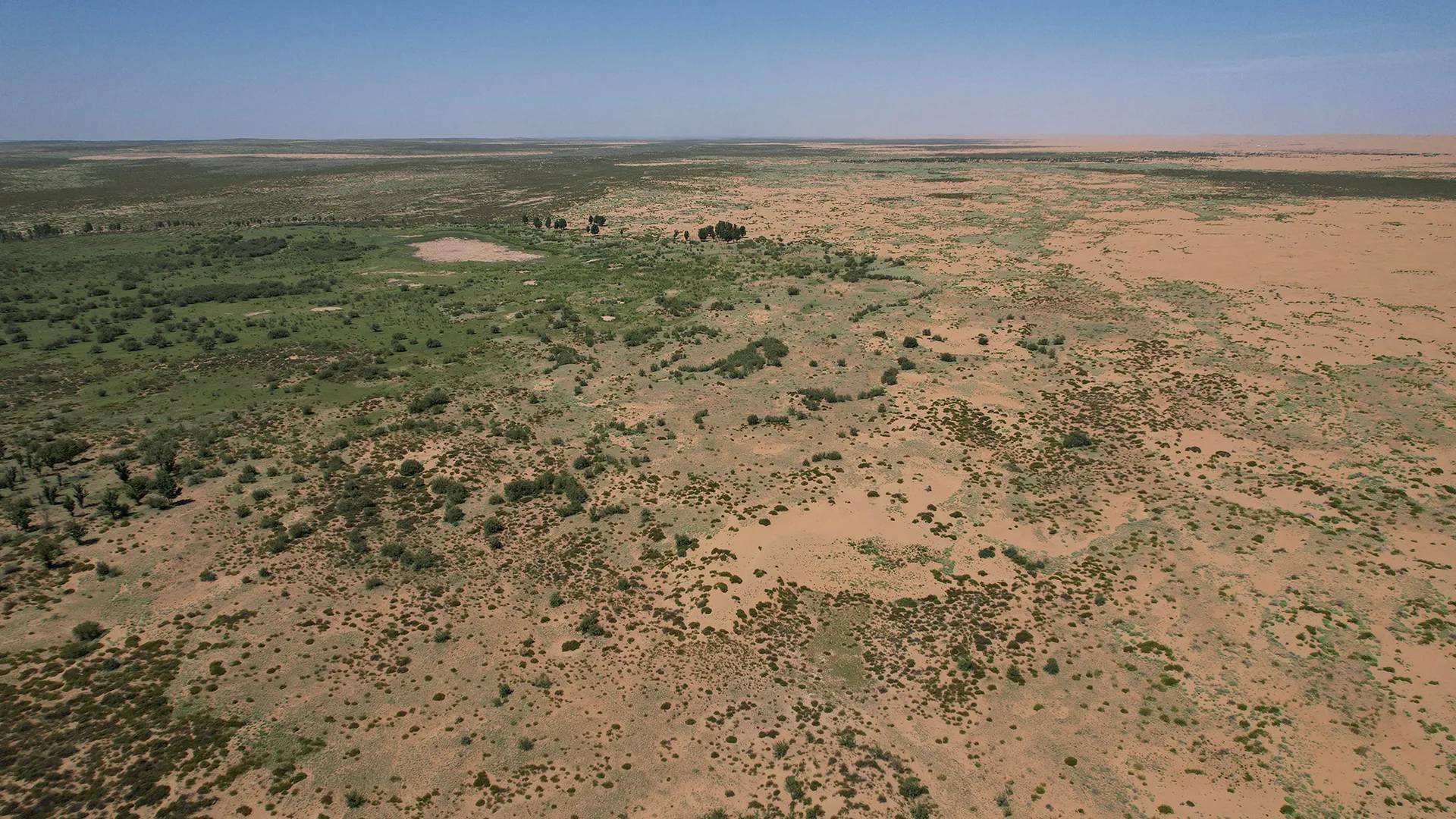 Aerial photo of a green landscape encroaching on a brown, desert landscape