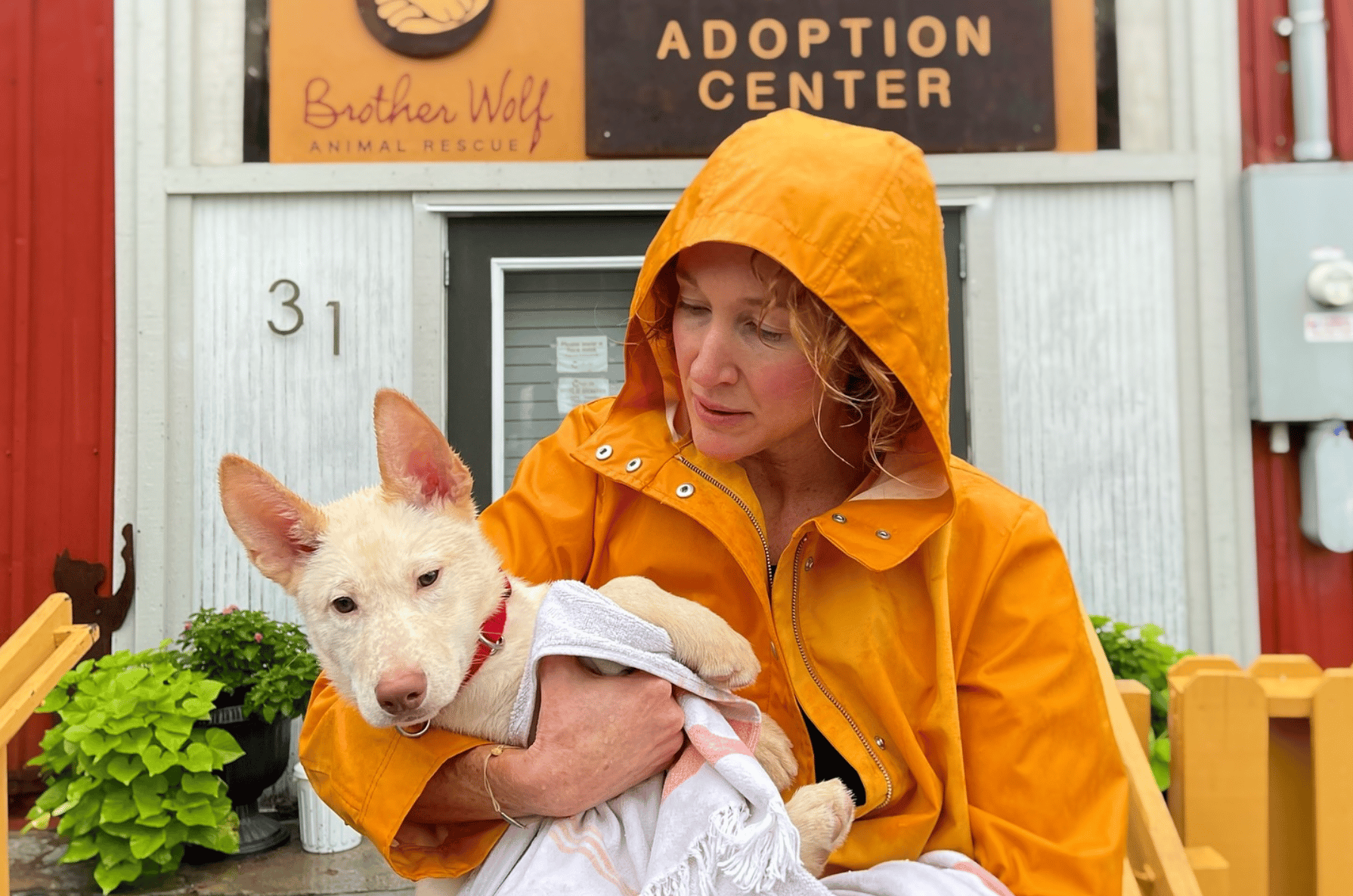 A person wearing a yellow rain jacket holding a white-colored dog with a red collar in front of an adoption center