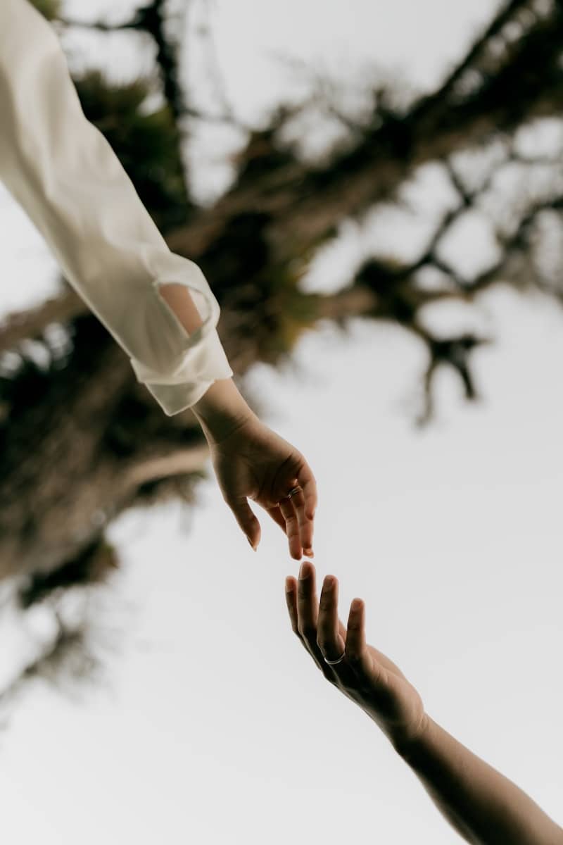 Two hands reaching out to connect under a tree.