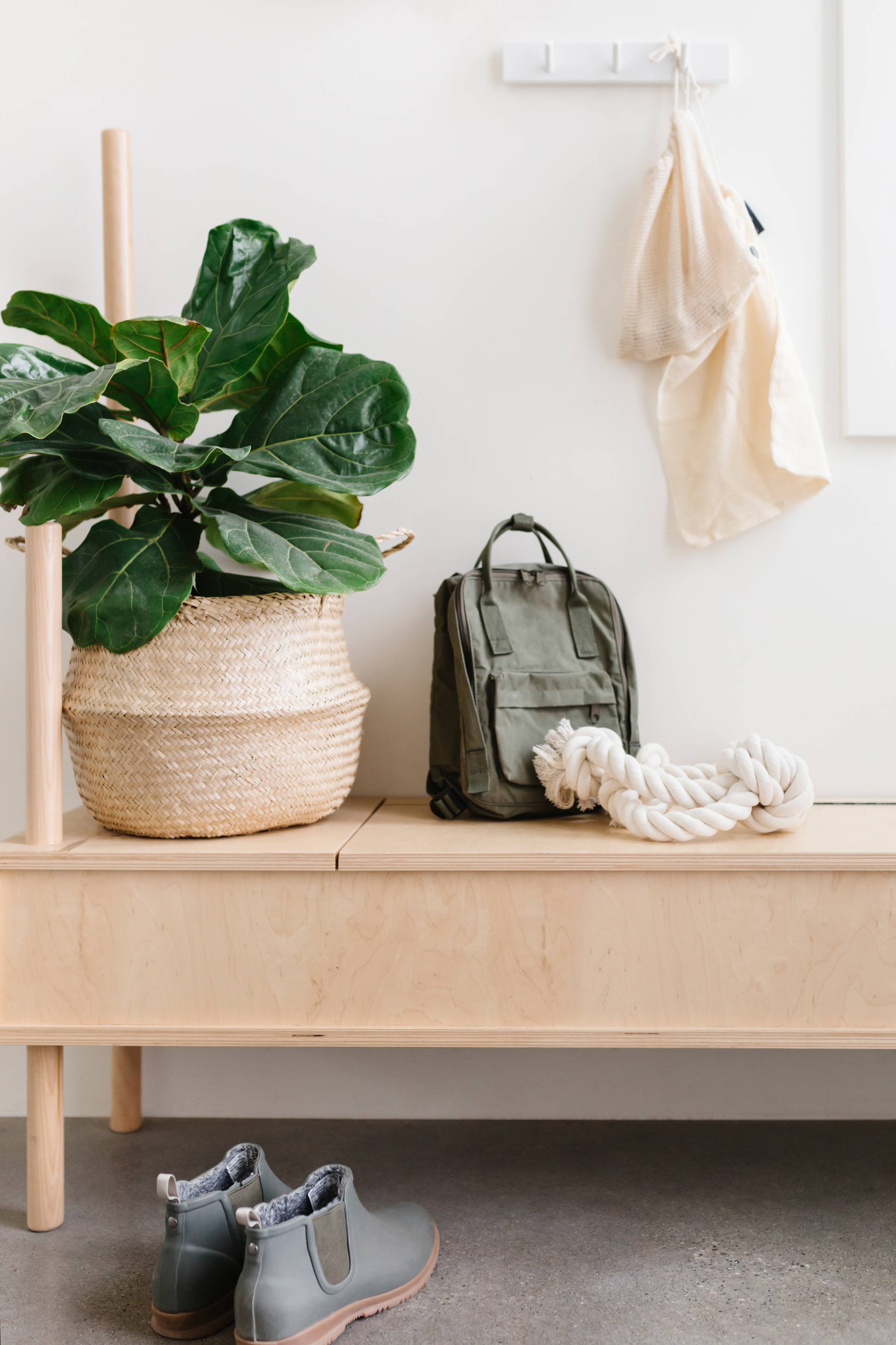 Image of a plant, backpack, and dog toy sitting on a wooden bench