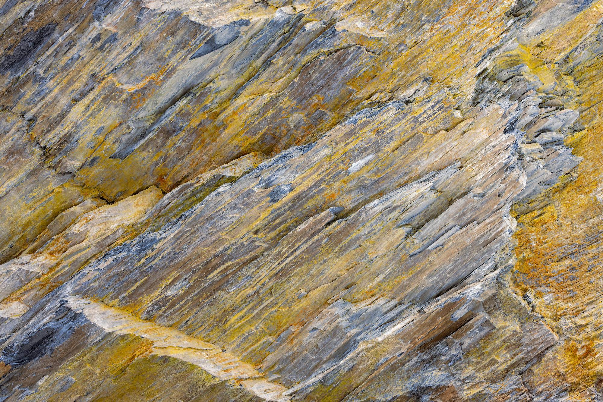 Sharpened - Abstract along a hiking trail