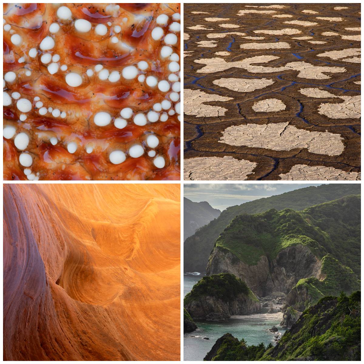 2025 Photography Rewind