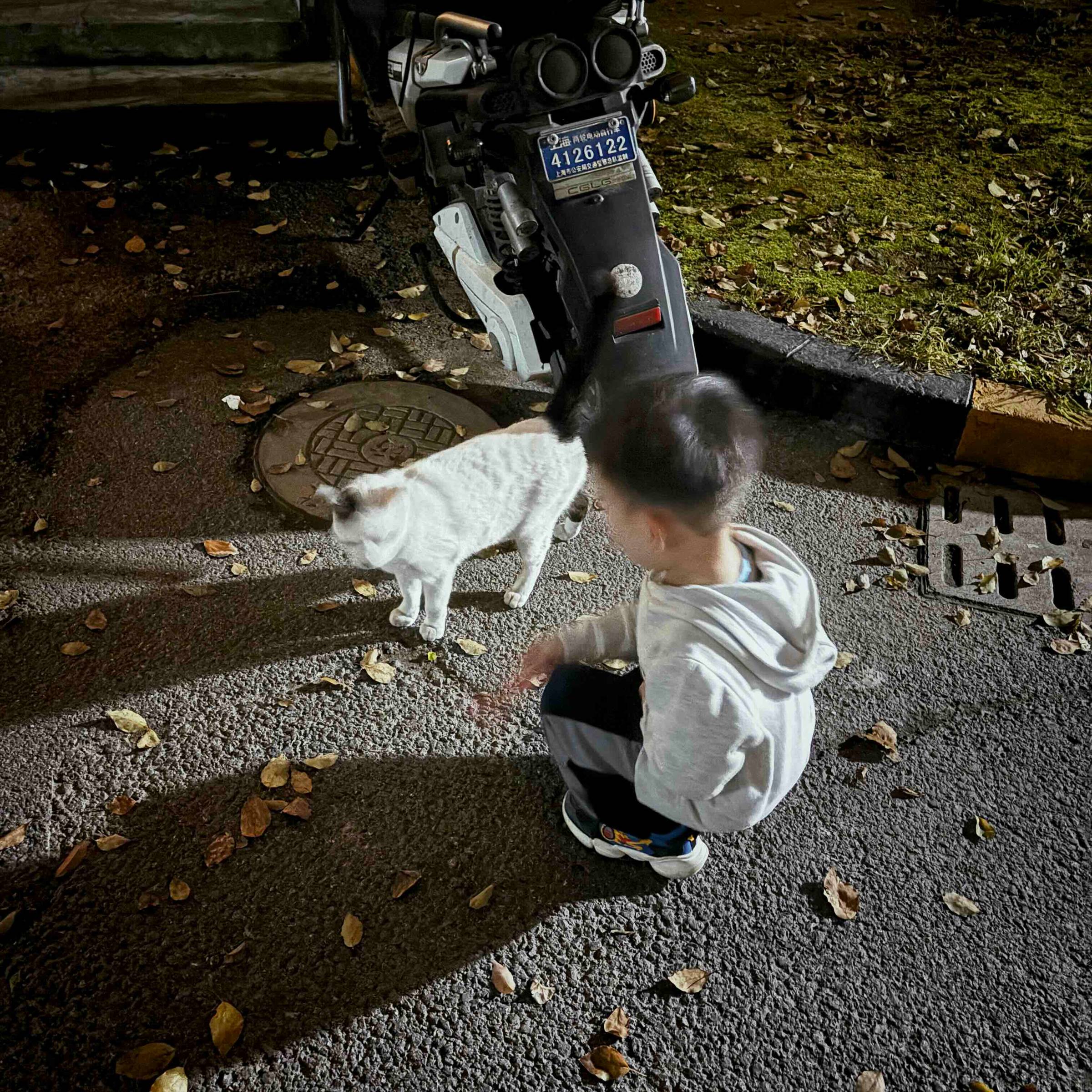 thumbnail placeholder