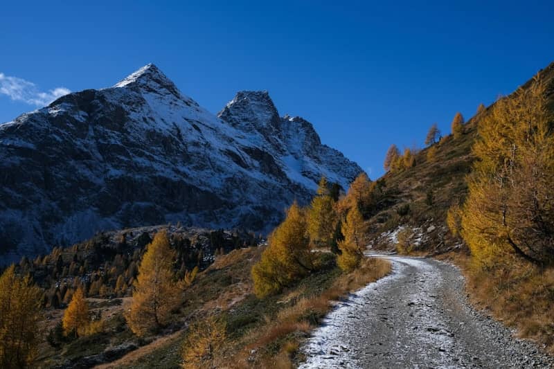 A winding mountain path with autumn trees and snow-capped peaks.