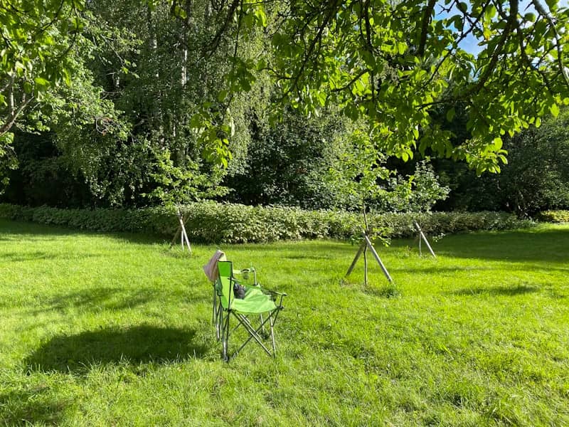 Green folding chair sits in a sunny grassy park.