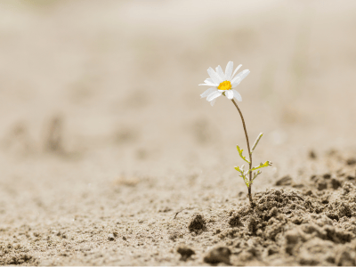 Resilience