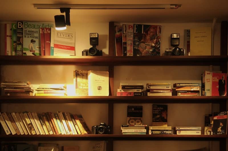Books and cameras sit on wooden bookshelves.