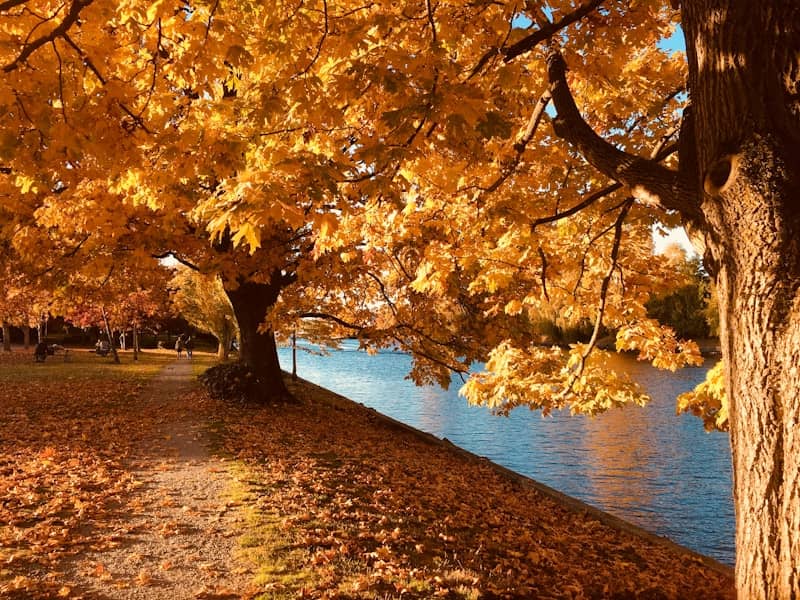 Think in Seasons
