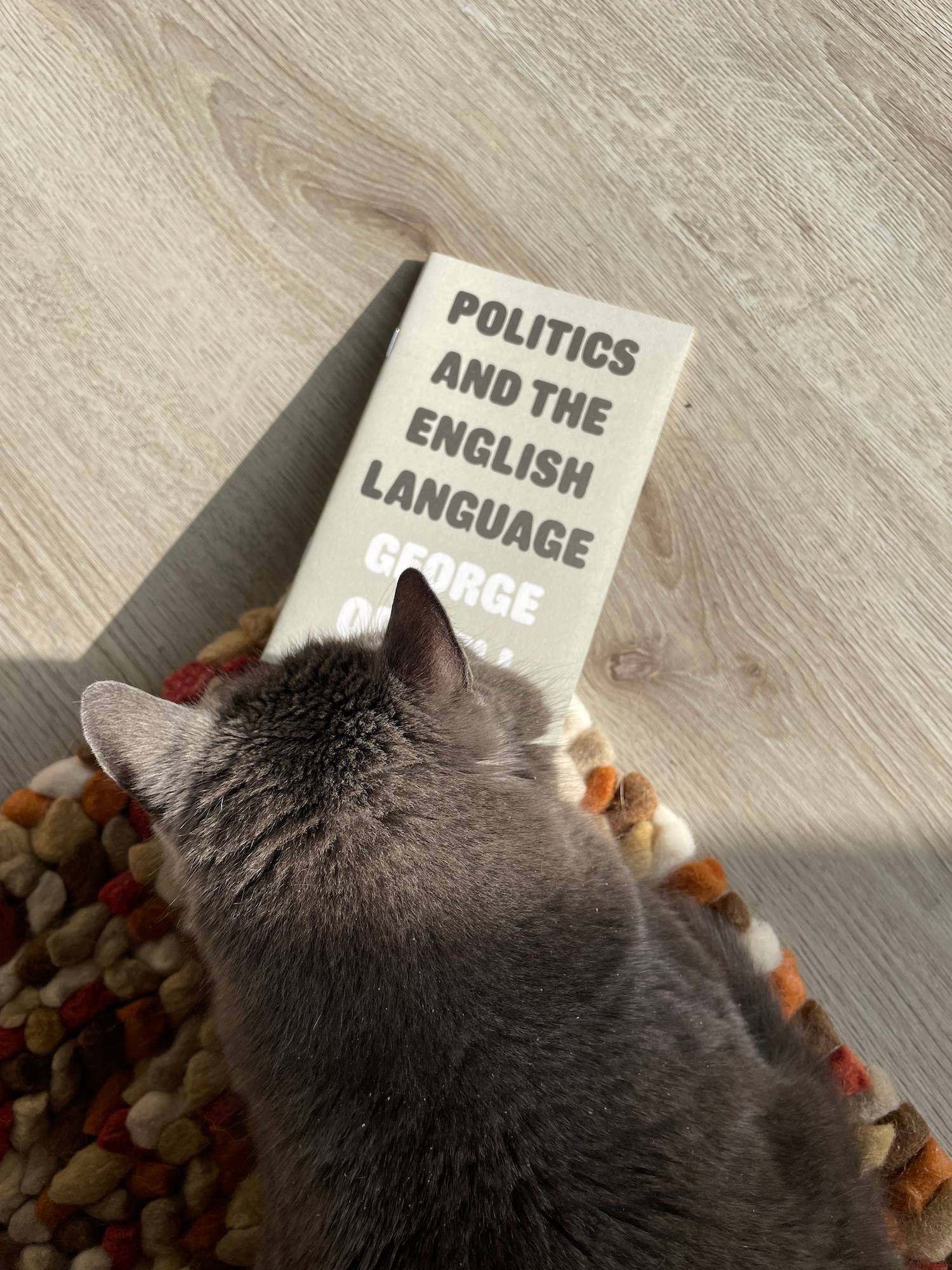 George Orwell’s MicroBook “Politics and the English Language” in front of Whiskey, a little grey cat, who is reading it.