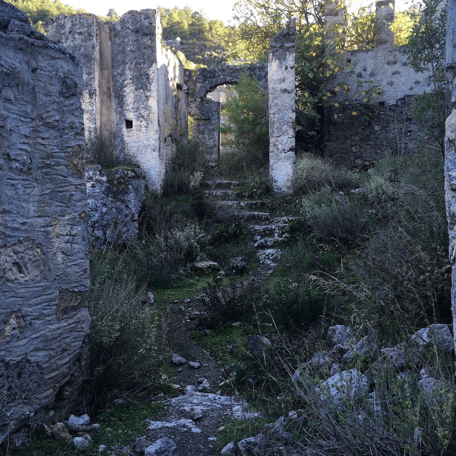 A ruined staircase and archway, and the remains of walls, all being reclaimed by greenery. The sun shines in from above. It looks like something from a computer game or a fantasy movie.
