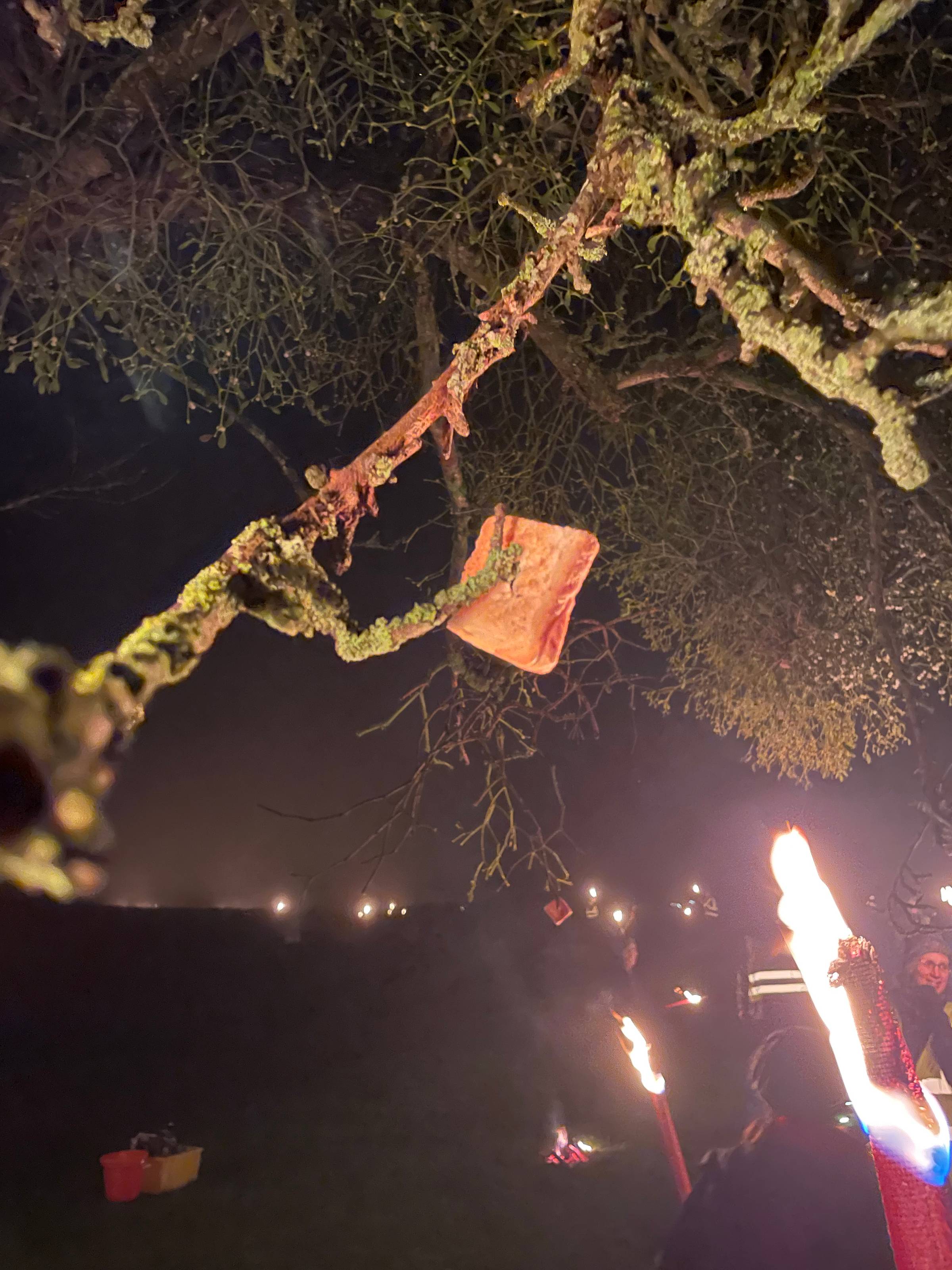 In a dark orchard, an apple tree branch is lit by the light of a flaming torch. Centre of the image is a piece of toasted bread hanging on a twig.