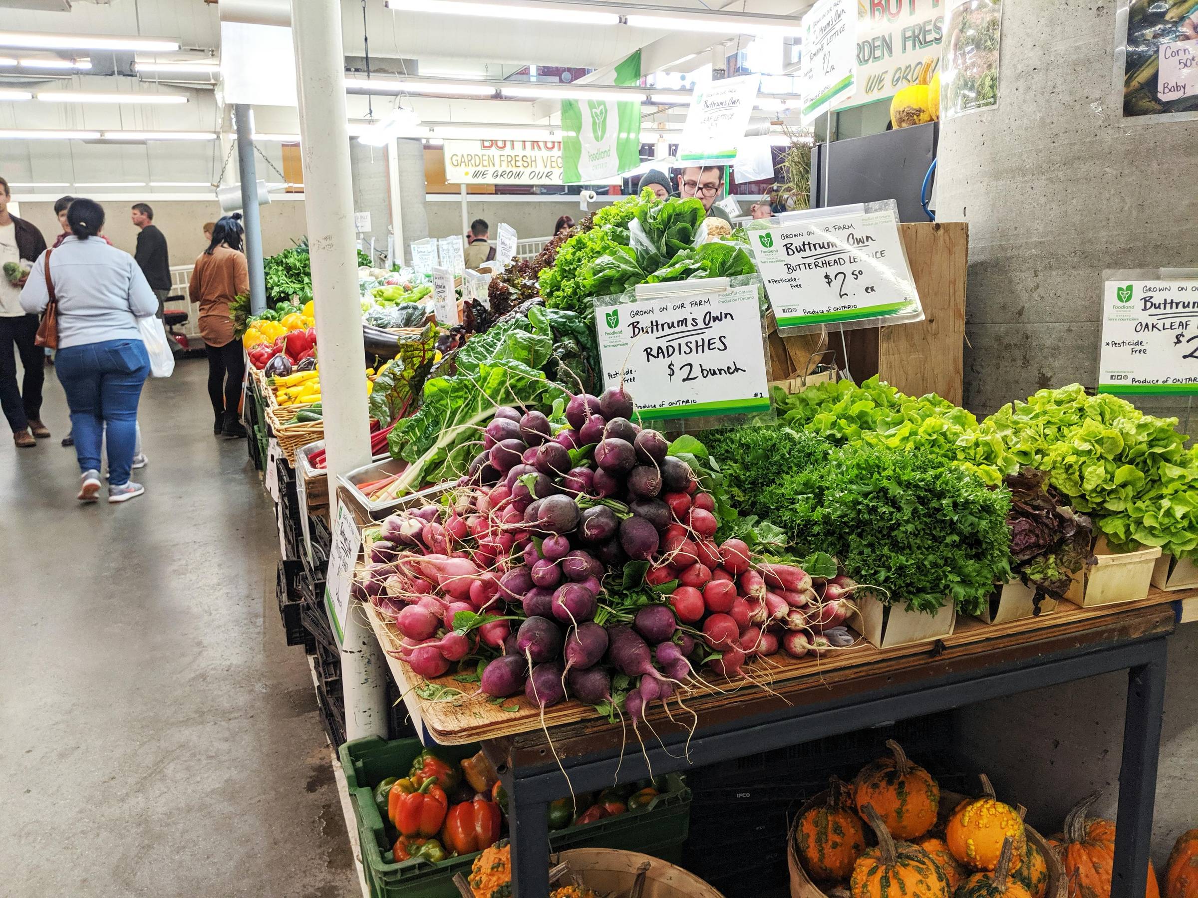 A view of the inside of the Hamilton Farmers Market, with radishes and lettuce showing