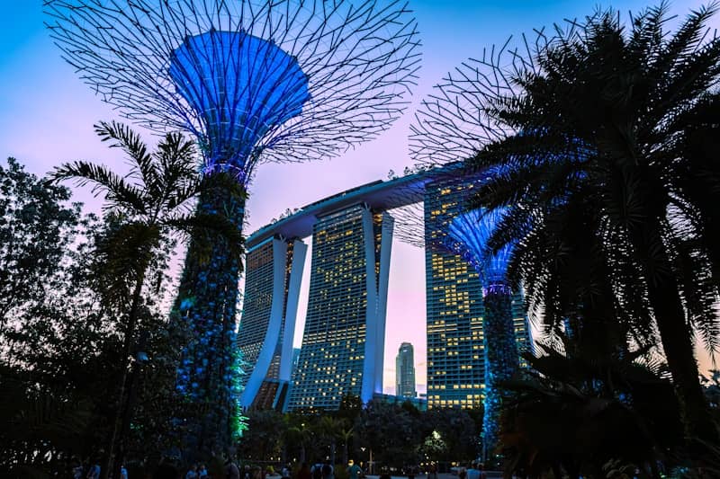 Illuminated futuristic trees and buildings at dusk
