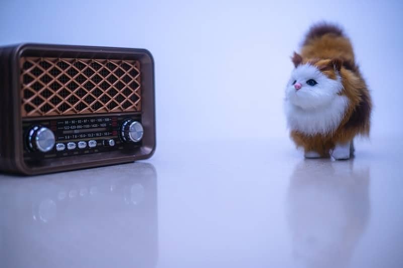 A radio stands next to a fluffy cat toy.